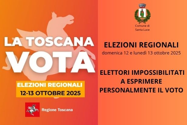 elettoriimpossibilitatipersonamentealvoto