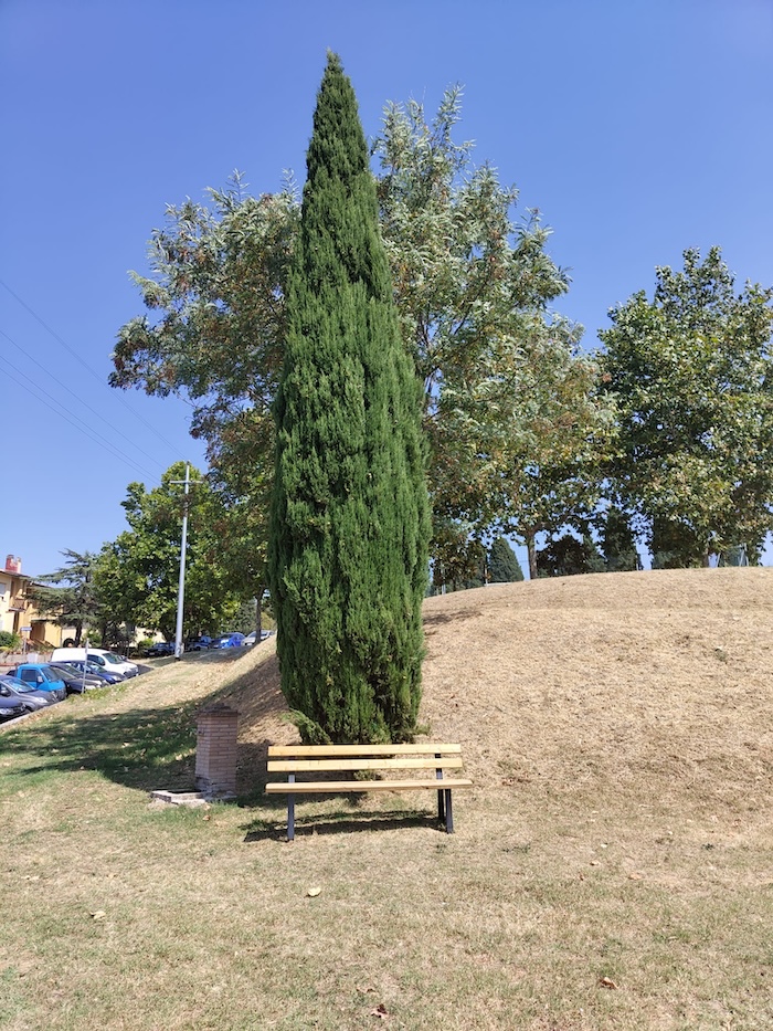Panchina e Cipresso giornata di sole