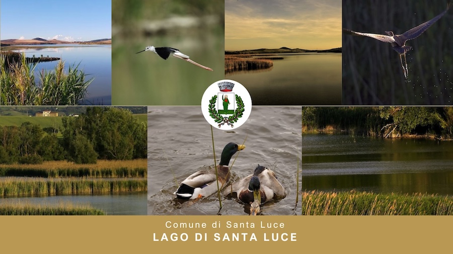 Collage fotografico di vedute e luoghi sul Lago